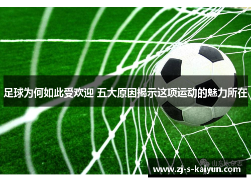 足球为何如此受欢迎 五大原因揭示这项运动的魅力所在