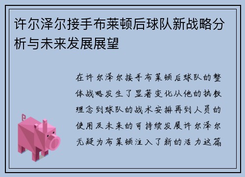 许尔泽尔接手布莱顿后球队新战略分析与未来发展展望